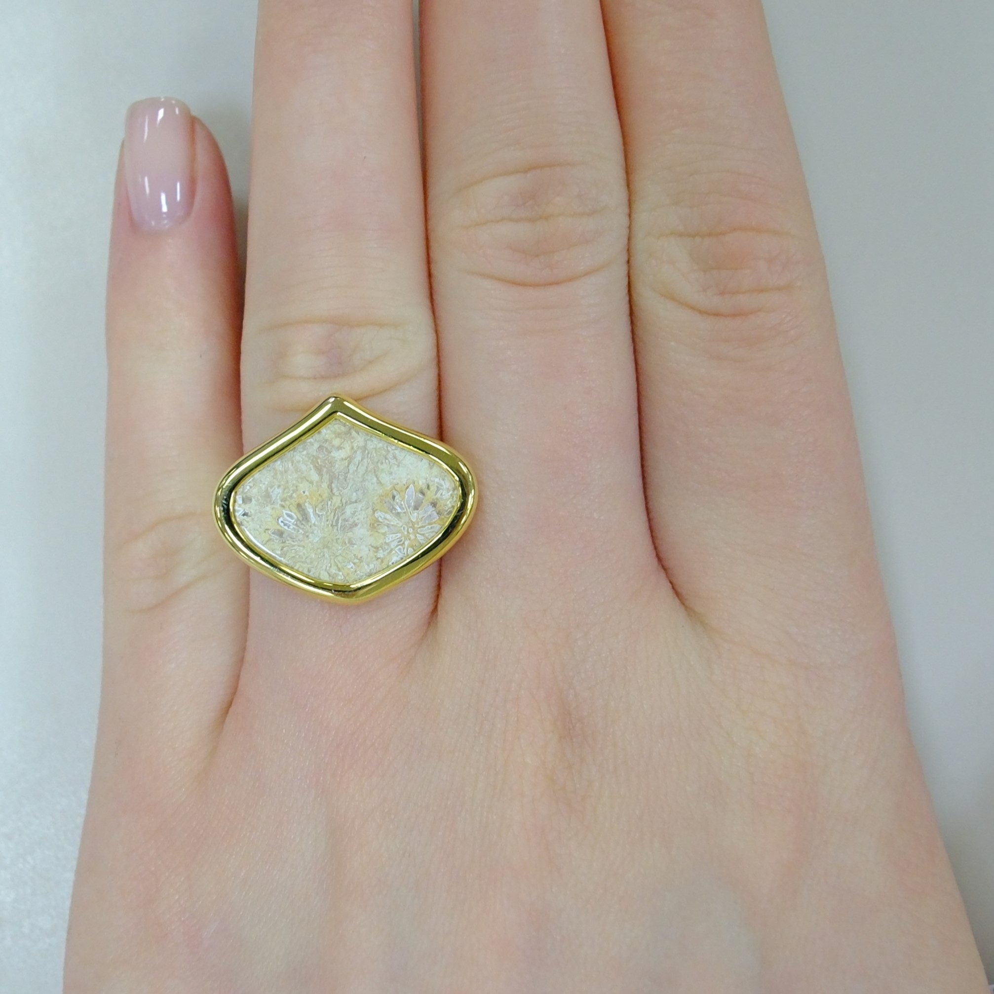 Серебряное кольцо с Хризантемовым кораллом